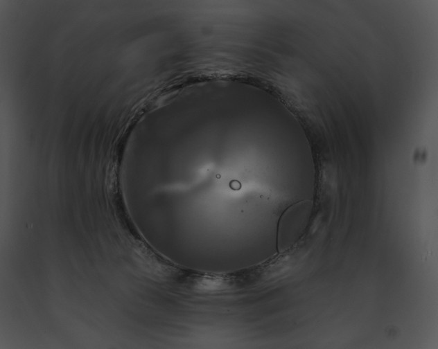 X0000091640177200708301406