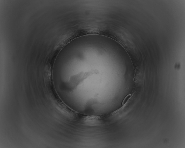 X0000091640179200708301406