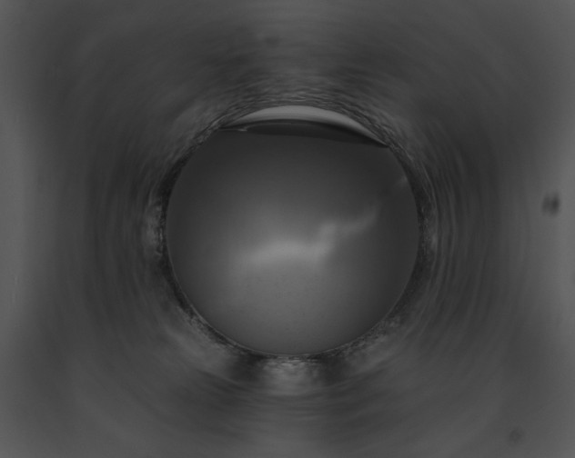 X0000091640181200708301406