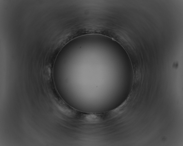 X0000091640183200708301406