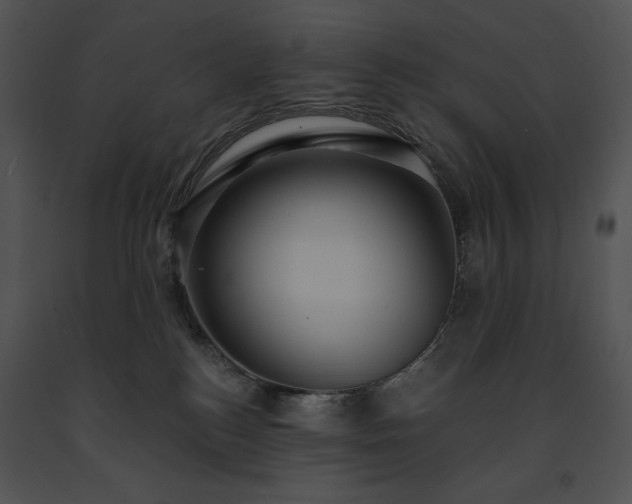 X0000091640184200708301406