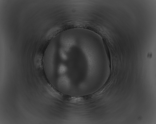X0000091640185200708301406