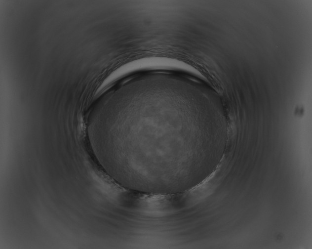 X0000091640186200708301406