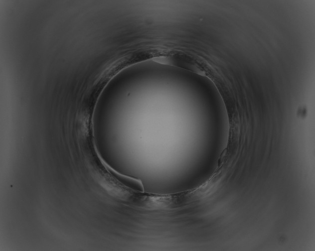 X0000091640188200708301406