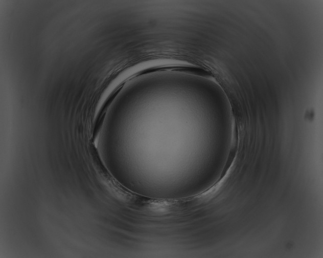 X0000091640190200708301406
