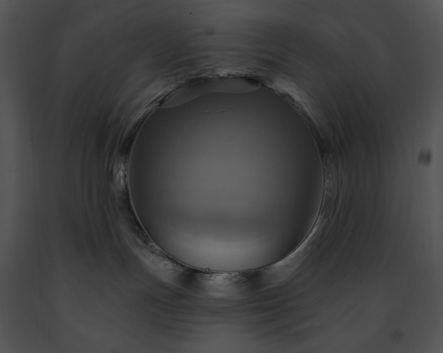 X0000091640191200708301406