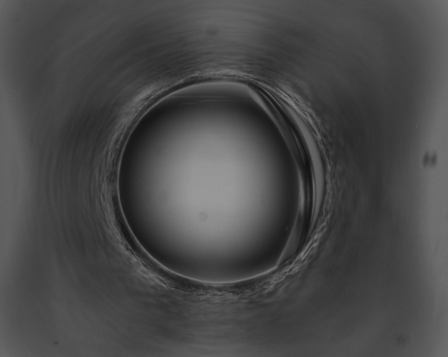 X0000091640193200708301405