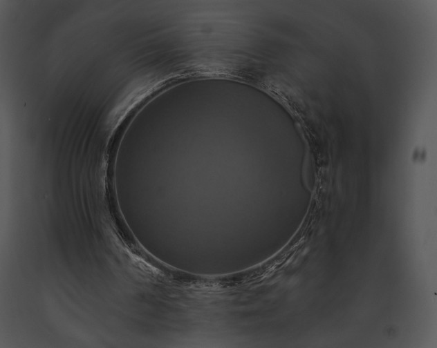 X0000091640194200708301405