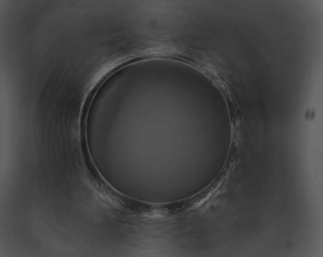 X0000091640196200708301405