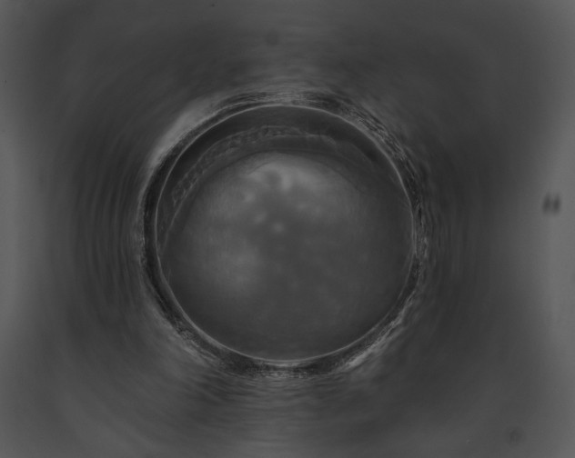 X0000091640198200708301405