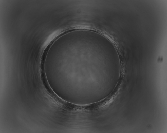 X0000091640199200708301405