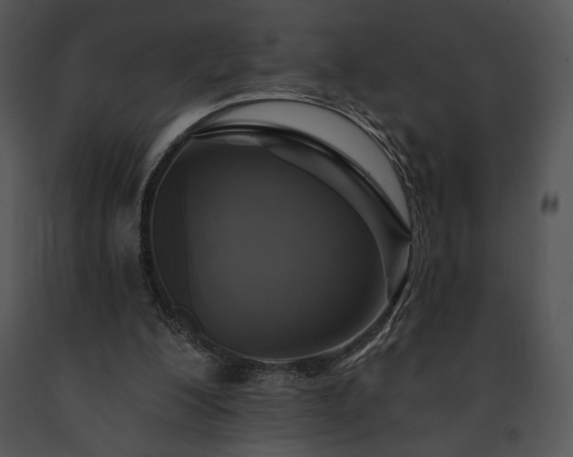X0000091640200200708301405