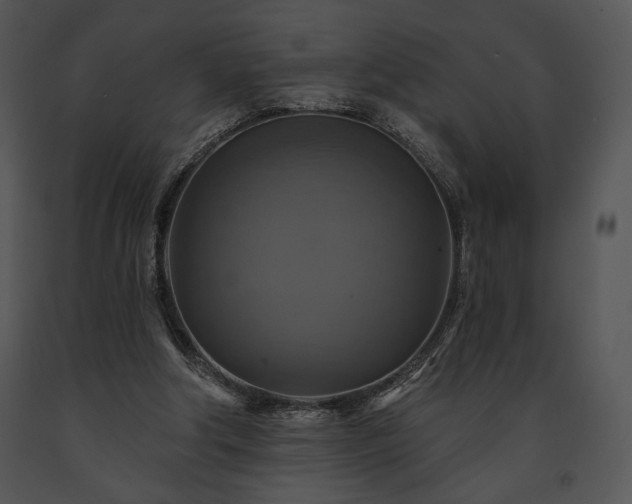X0000091640202200708301405