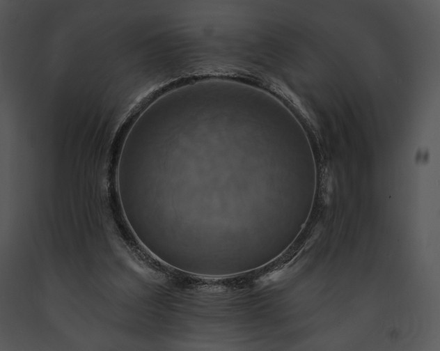 X0000091640203200708301405