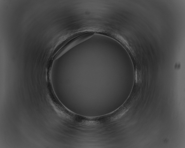 X0000091640205200708301405