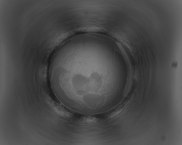 X0000091640206200708301405