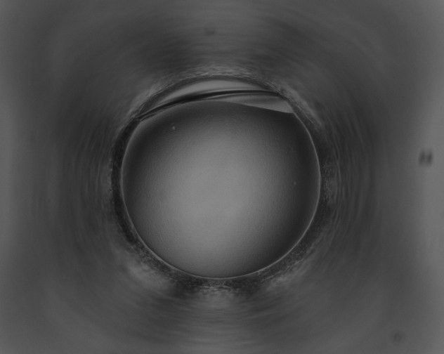X0000091640207200708301405