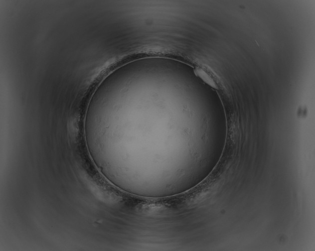 X0000091640208200708301405