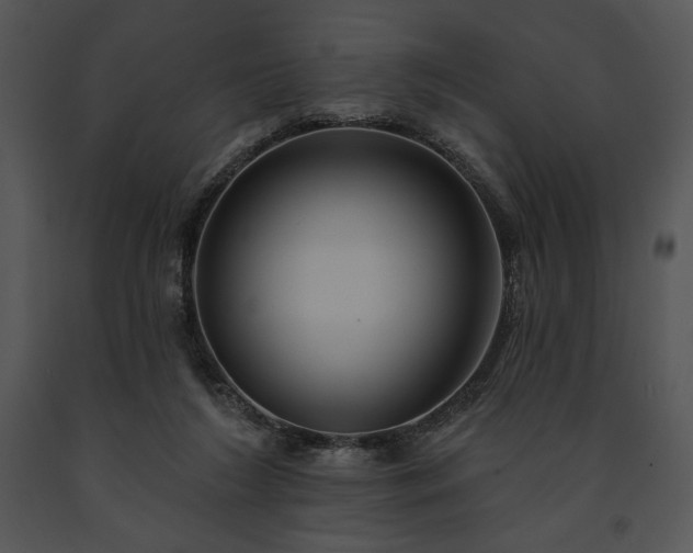 X0000091640212200708301405