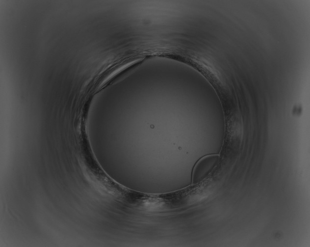 X0000091640214200708301405