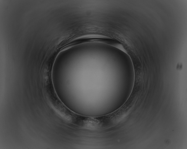 X0000091640215200708301405