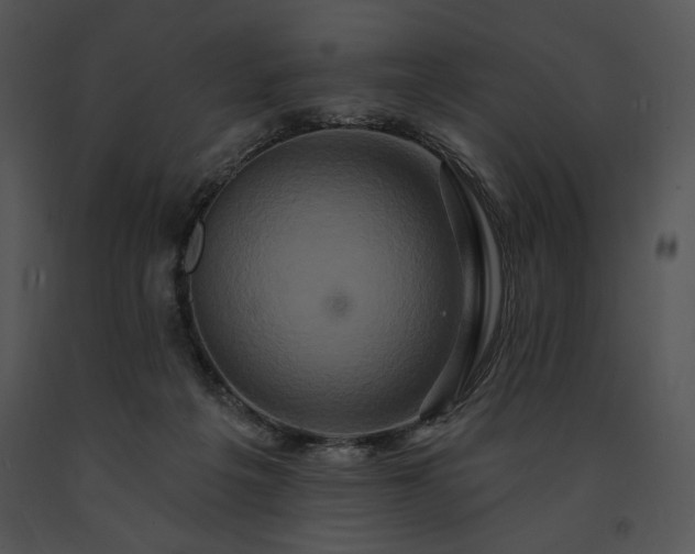 X0000091640217200708301405