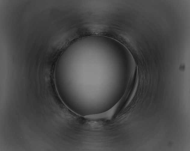 X0000091640221200708301405