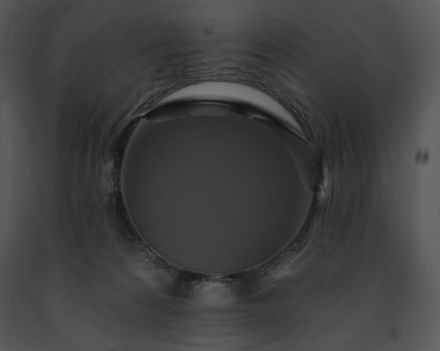 X0000091640224200708301405