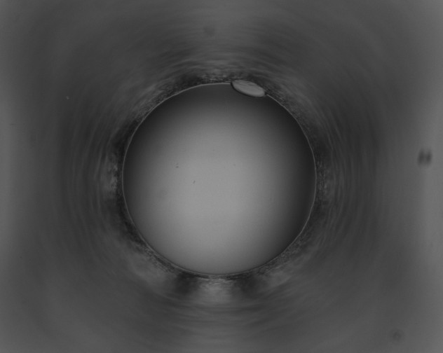 X0000091640226200708301405