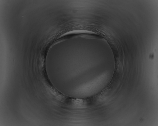 X0000091640230200708301405