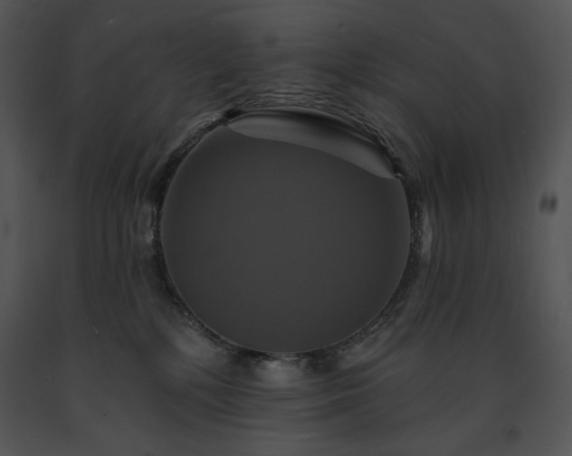 X0000091640232200708301405