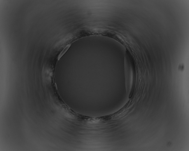 X0000091640235200708301405