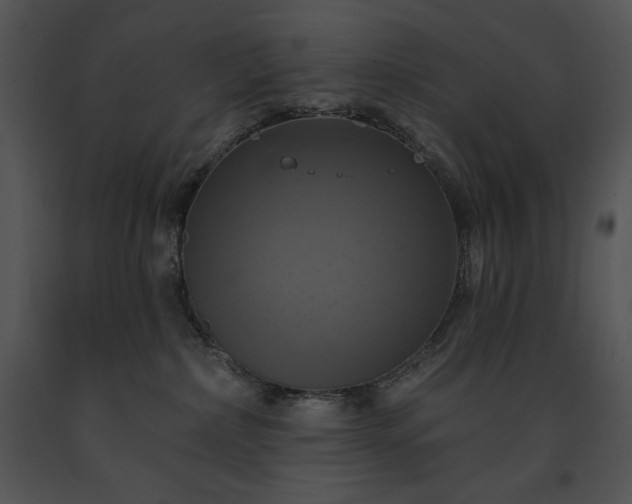 X0000091640236200708301405