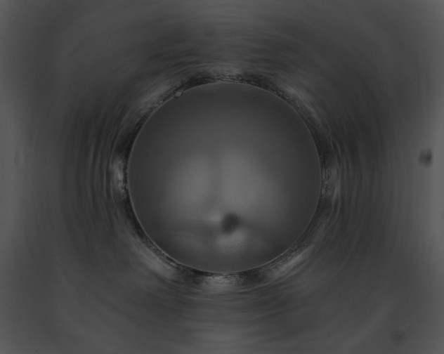 X0000091640238200708301405