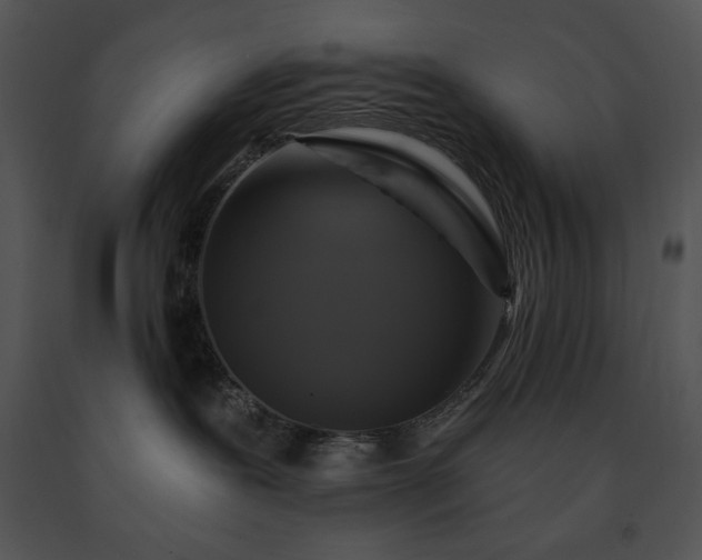 X0000091640239200708301405