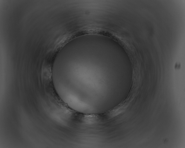 X0000091640240200708301405