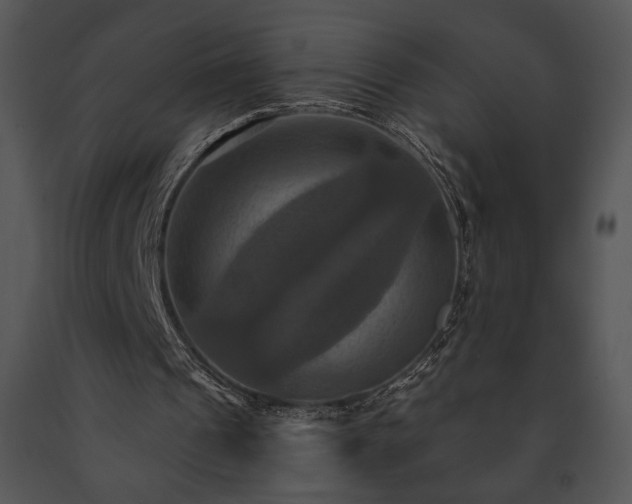 X0000091640241200708301404