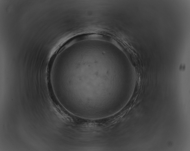 X0000091640244200708301404