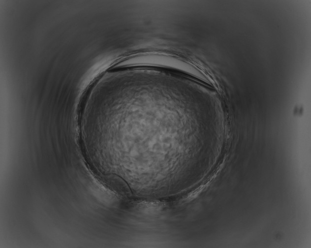 X0000091640245200708301404