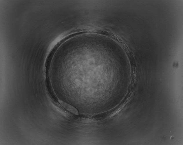 X0000091640246200708301404