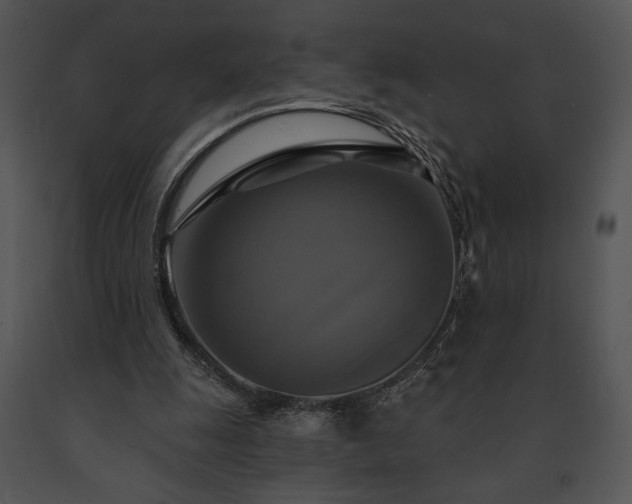 X0000091640247200708301404