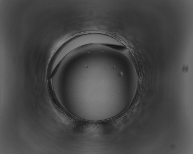 X0000091640248200708301404