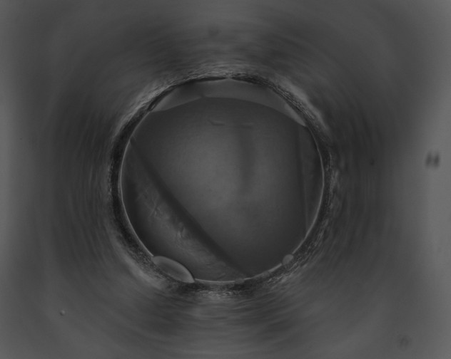 X0000091640250200708301404