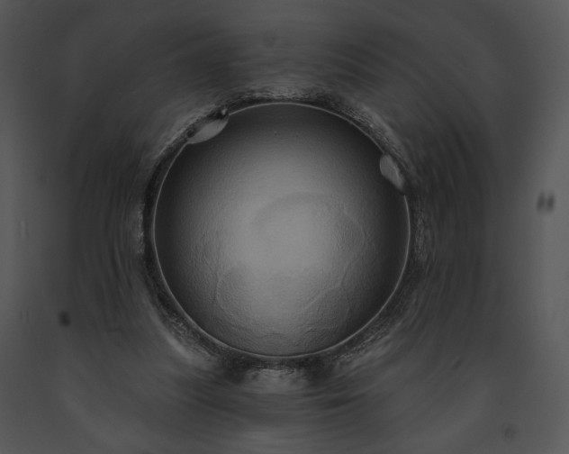 X0000091640251200708301404