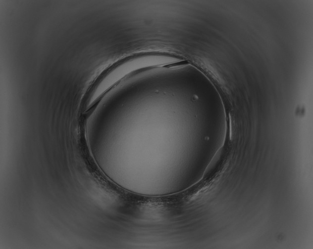 X0000091640252200708301404