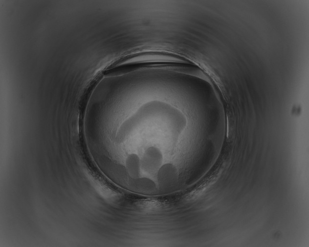 X0000091640253200708301404
