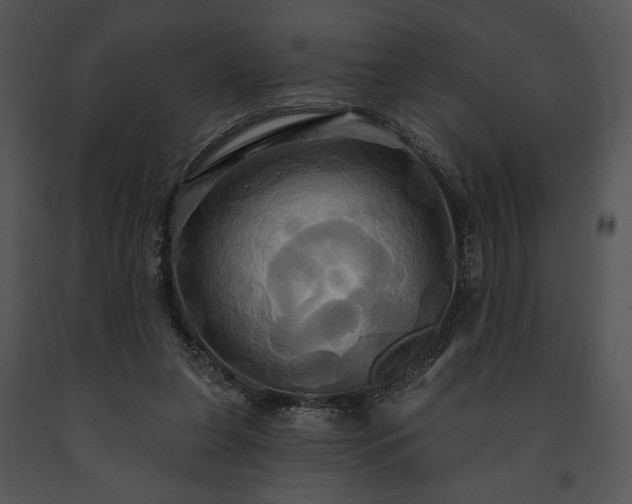 X0000091640255200708301404