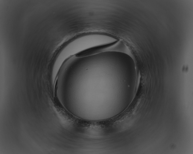 X0000091640256200708301404