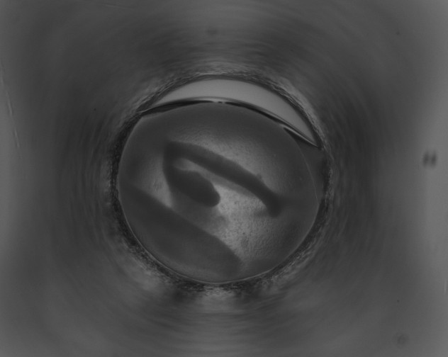X0000091640257200708301404