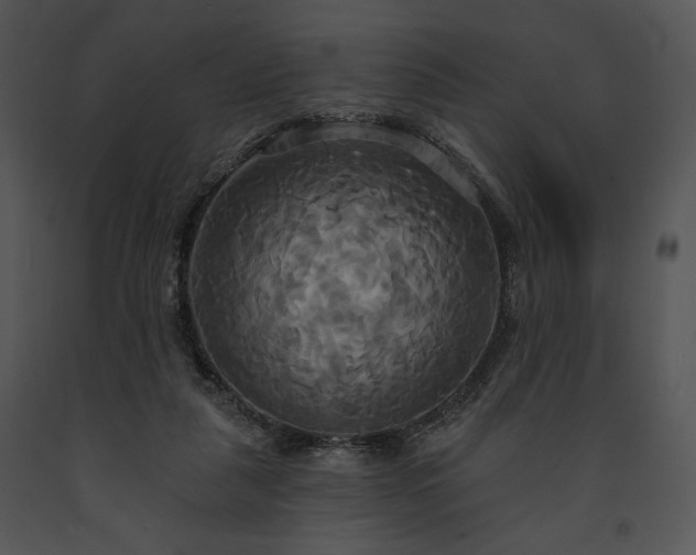 X0000091640259200708301404